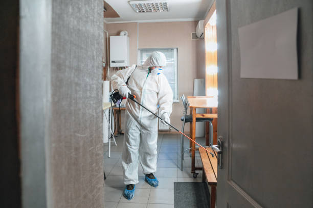 Hudson, IA Mold Removal Company