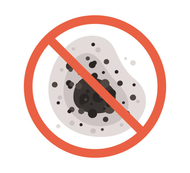 Best Indoor Air Quality Assessment  in Hudson, IA